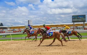 Tìm Hiểu Đua Ngựa E2BET: Bí Quyết Và Kinh Nghiệm Thắng Lớn